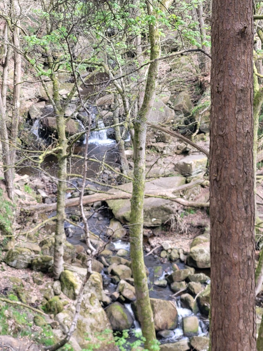 Dazhit1967's tweet photo. Nice walk around Peak district Derbyshire https://t.co/m2JOvl6GrL