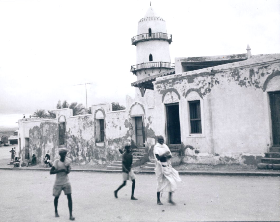 Xalane サ tweet media