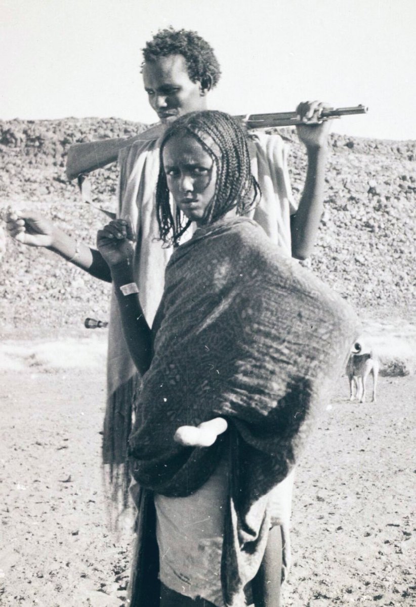 Xalane サ tweet media