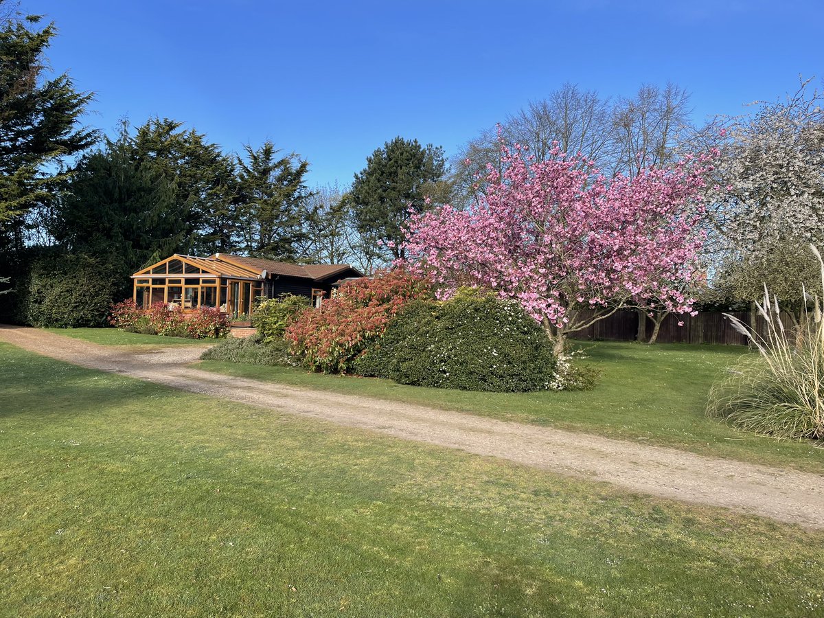 Had to post a photo of one of our blossom trees by Kingfisher Lodge. I love this time of year. Such a gorgeous colour at this time of year. For more information about Homersfield Lake and renting Kingfisher Lodge, please go to: homersfieldlake.com