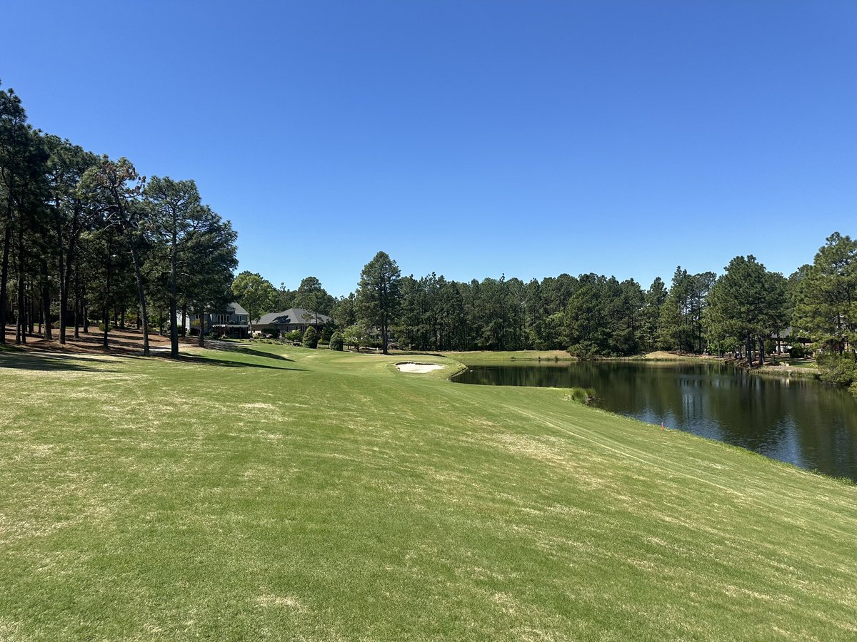 Luke Isiah tweet media