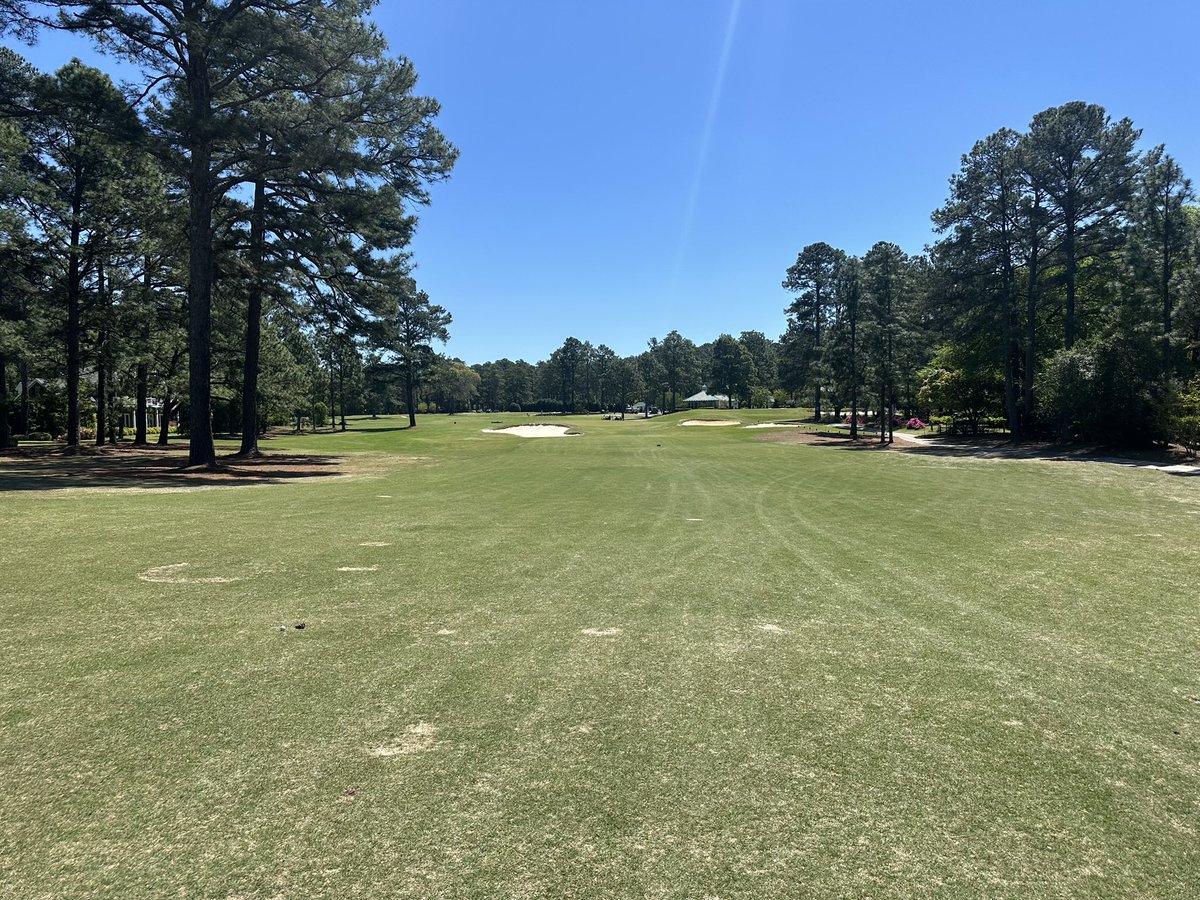 Luke Isiah tweet media