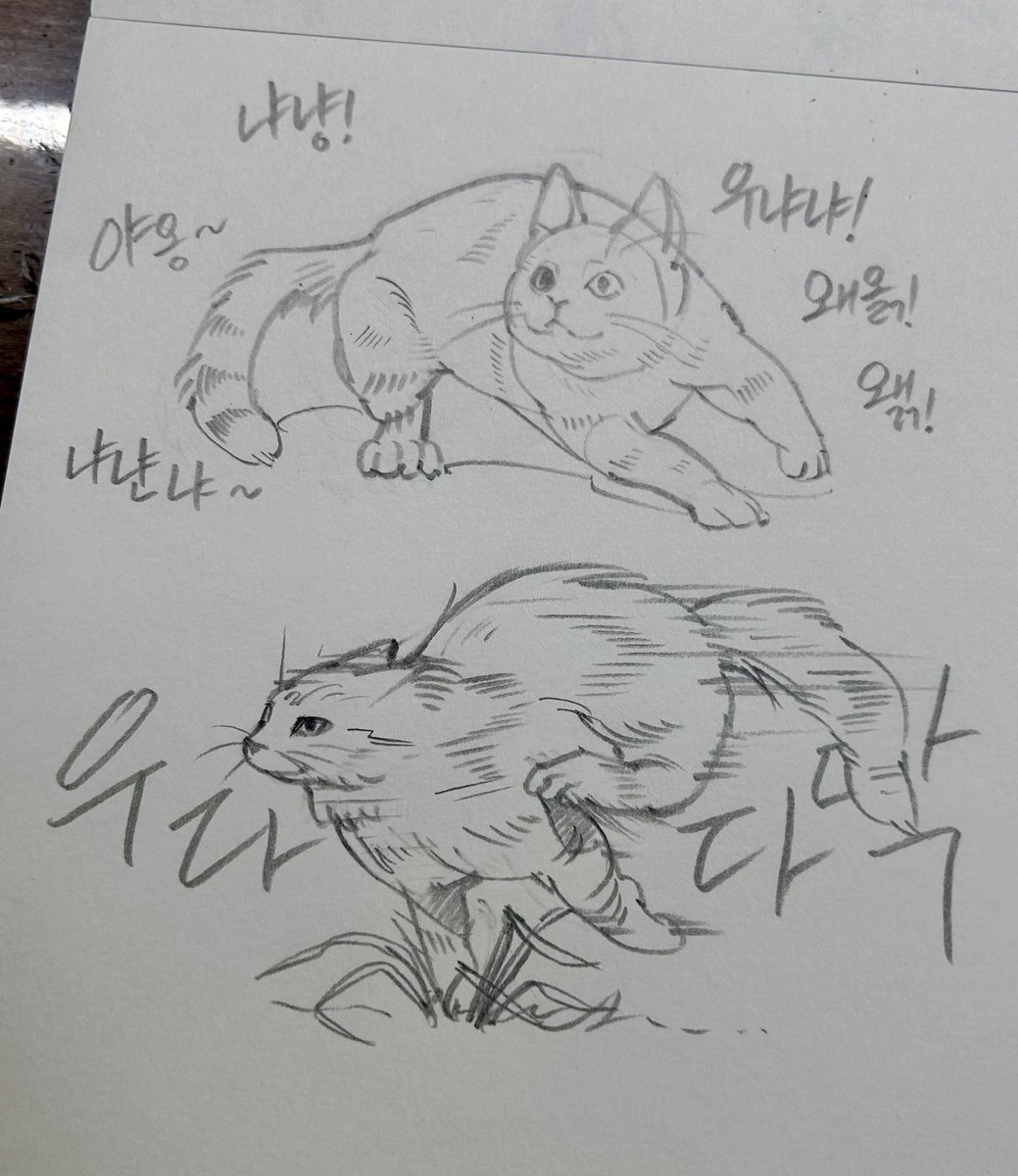 새벽에 그림 그리면 안되…