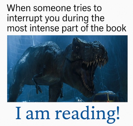 RomComReview1's tweet photo. #ReadingMemes #Bookmemes #ImReading https://t.co/ke84tUEAUR