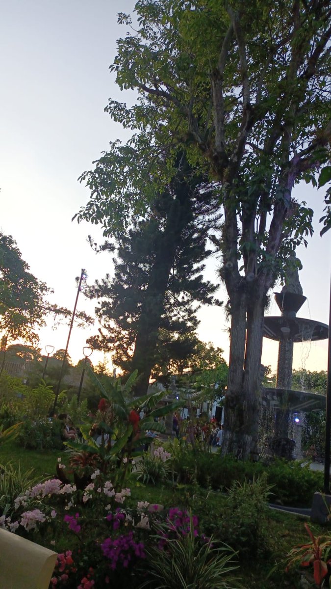 VisitAtaco's tweet image. En esta ola de calor, disfrutamos de Ataco con 21°C.

Bienvenidos a Concepción de Ataco, Ahuachapán 🇸🇻.