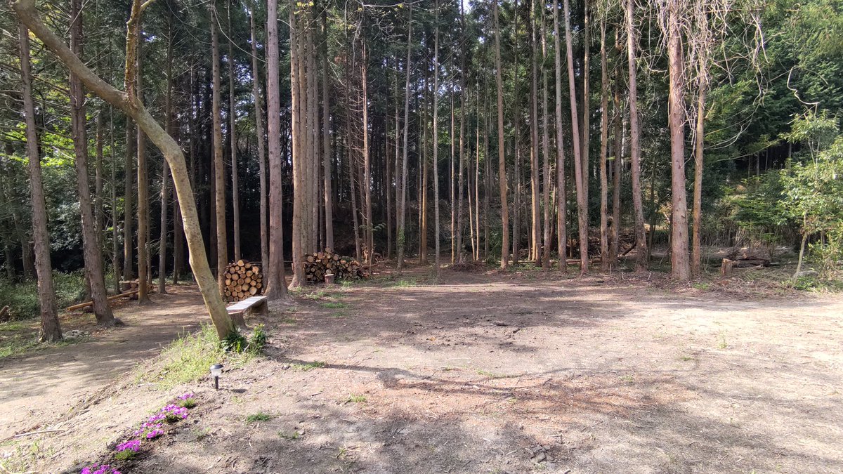KABA362's tweet photo. KABA36🏕️
若葉が萌え花が咲き燕が舞う絶好の里山キャンプ日和。
ご希望があれば林間サイトも利用できます🌲
🟦🟨🟩🟥⬜️
#KABA36
#里山キャンプ
#1日1組限定貸切
#林間サイト開拓
#ExCAMP https://t.co/9hQZLuEPF1