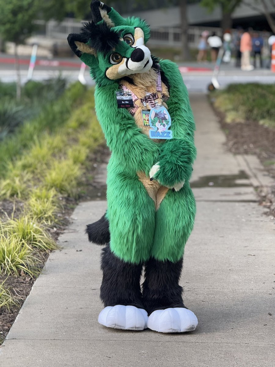 RAZZ 🔜 MFF tweet media