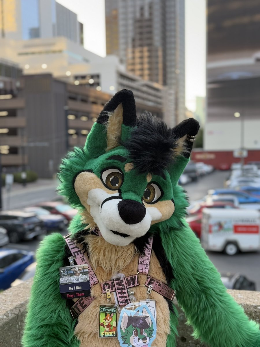 RAZZ 🔜 MFF tweet media