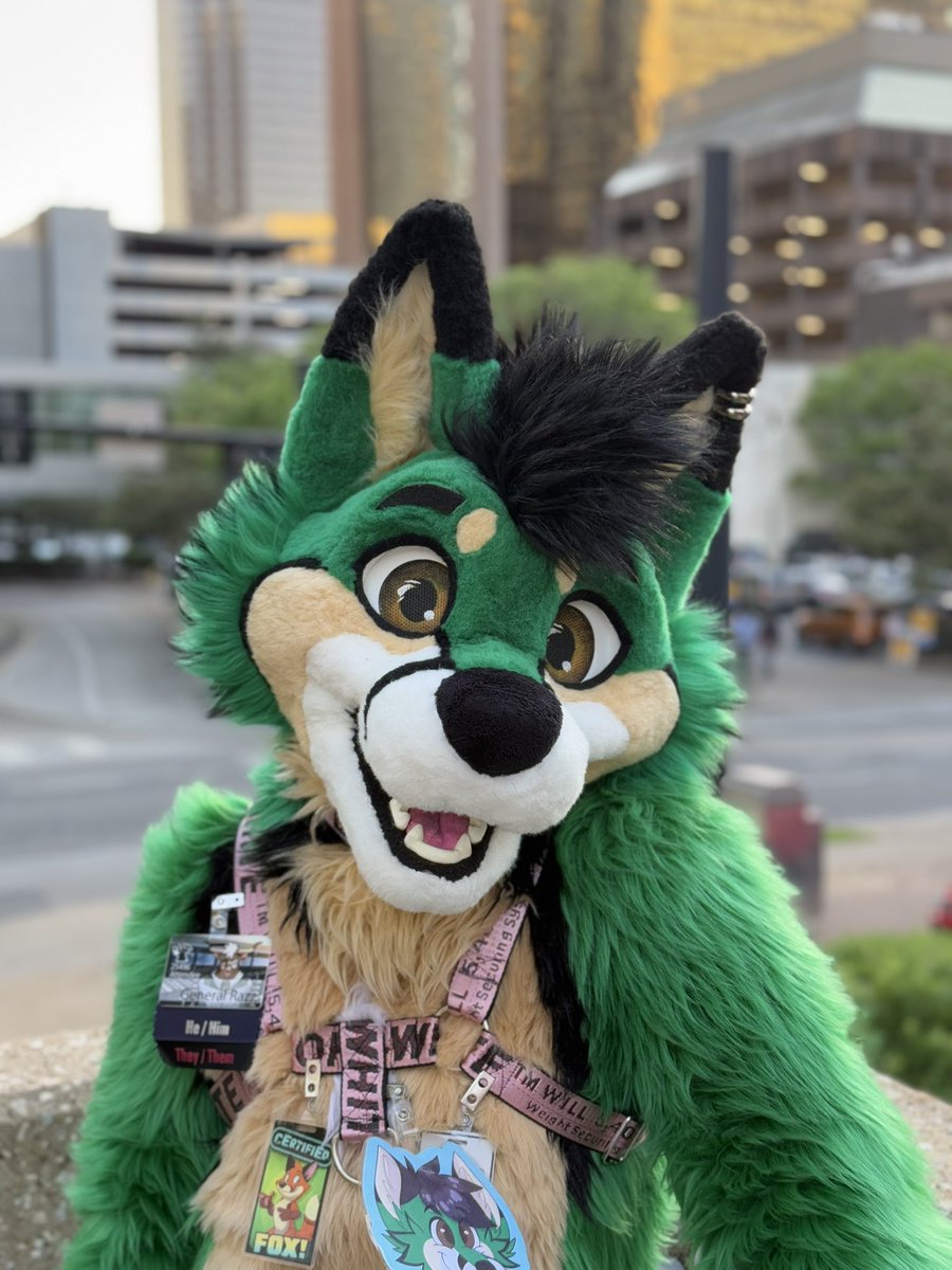 RAZZ 🔜 MFF tweet media