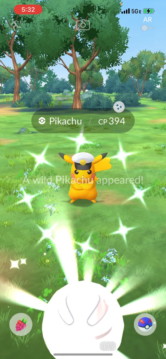 PIKA GALORE TODAY!!! 3 shinies &amp; a hundo ! If only the hundo &amp; shiny mixed ! What a day !!! #Pokemon #PokemonGo
