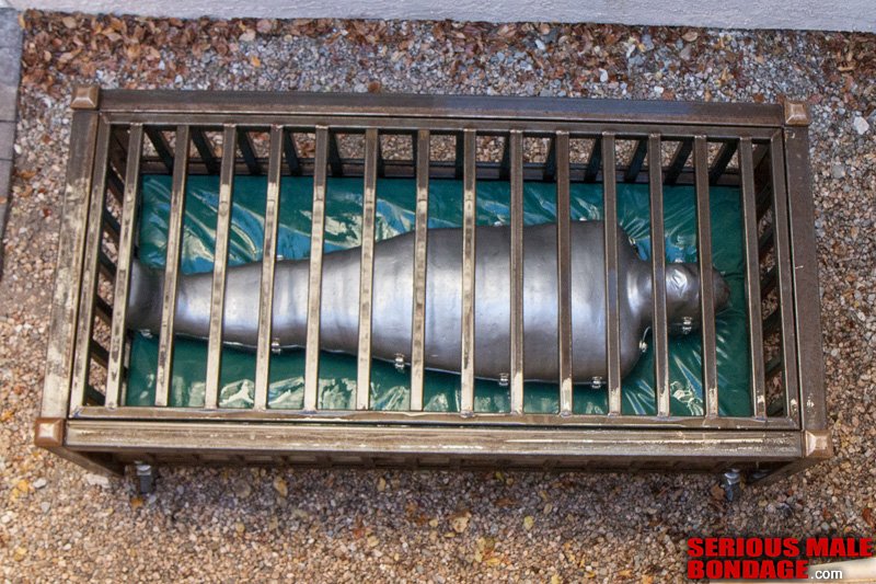 Mark Burnley tweet media