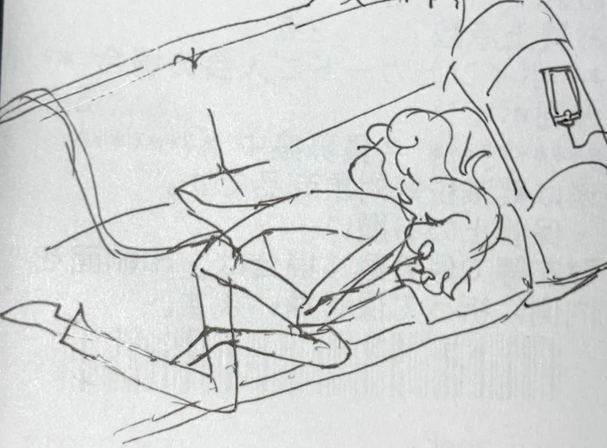 寝てるルーペを描いたら、リア友がキャビティーを書き足していてほっこりしたという報告をまだしてなかったので今します。
可愛いですね。もこもこの髪に潜ってきたり一緒に何かしたがったりご飯作ってくれたり…ほんとにルーペのことが大好きなんだなと改めて思いました 