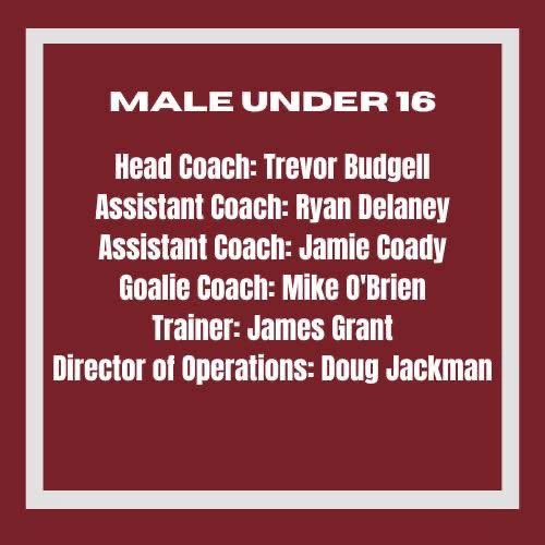 RSG Goaltending tweet media