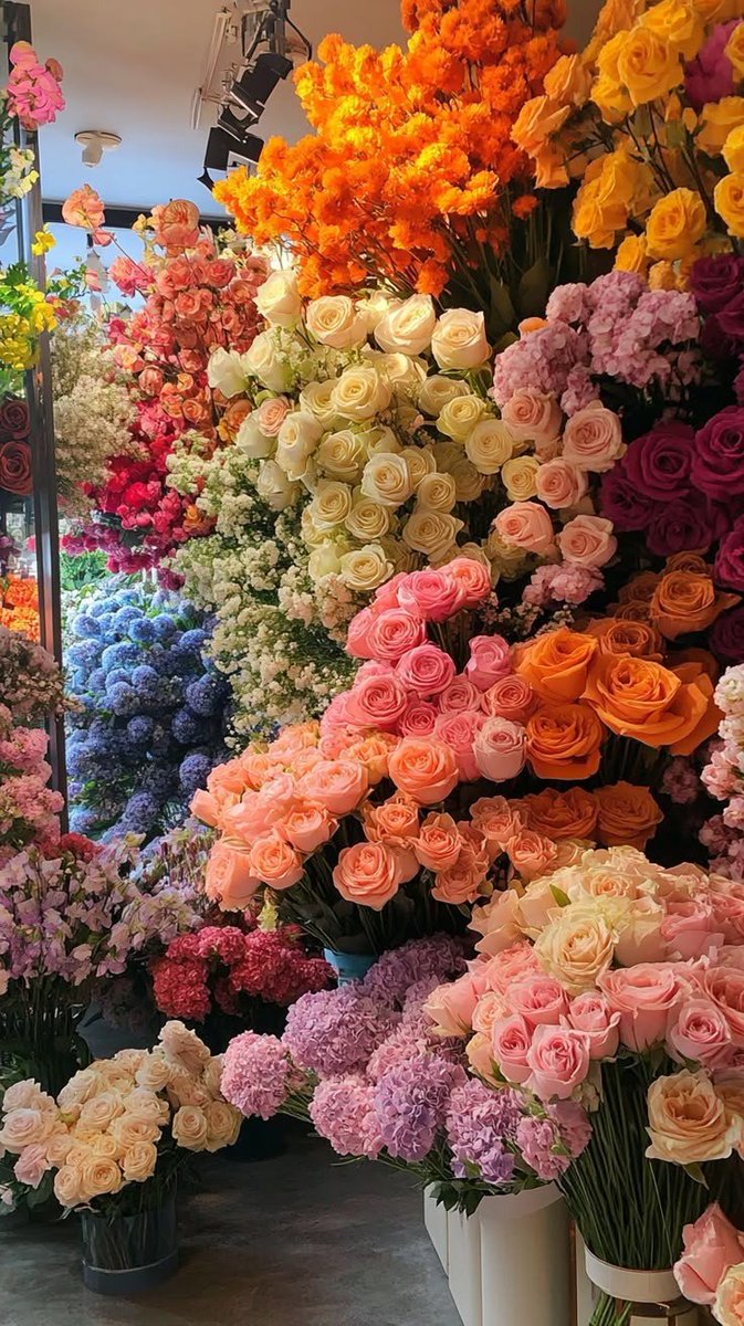 Flowerland (@flloverland) on Twitter photo 