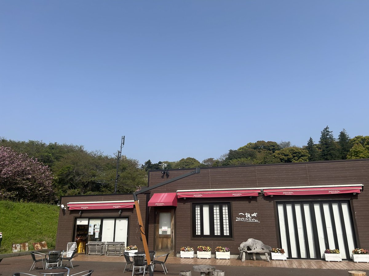 ichiyajyo's tweet photo. おはようございます。
朝から気温がグングン上がってきています！
暑さ対策しっかりして、お越しくださいませ。
本日も一夜城ヨロイヅカファームは10時開店です。
＃一夜城ヨロイヅカファーム　＃石垣山一夜城　＃石垣山城　＃太閤一夜城　＃小田原　＃八重桜 https://t.co/nwd0qdaUGf