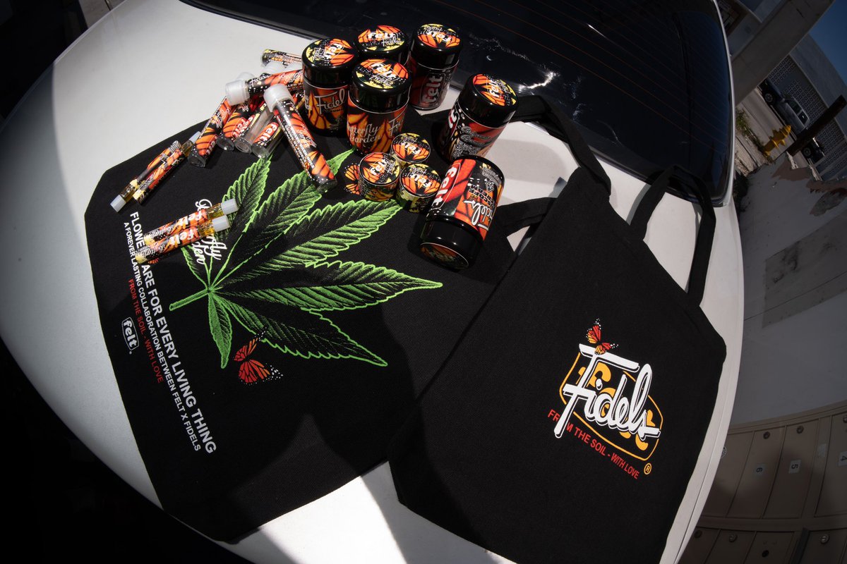 LOUIE CORREA tweet media