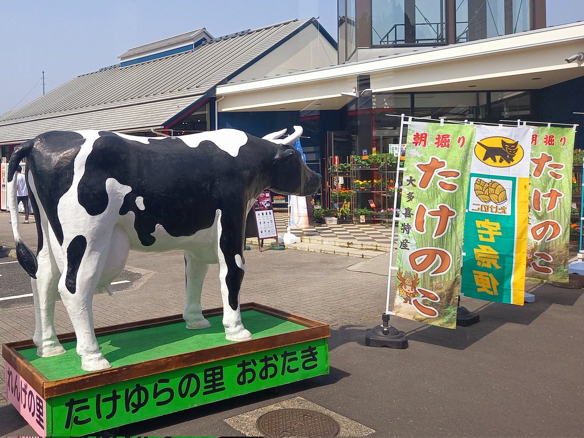 「おはようございます早起きして…たけのこ買いに来ました!千葉県大多喜町【道の駅たけ」|猪飼幹太✨リュウ編集長のイラスト