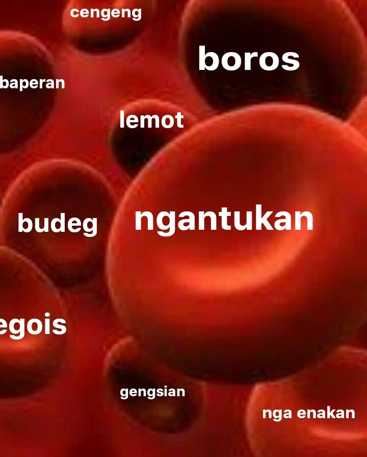 firzadwp's tweet image. sel darah gue