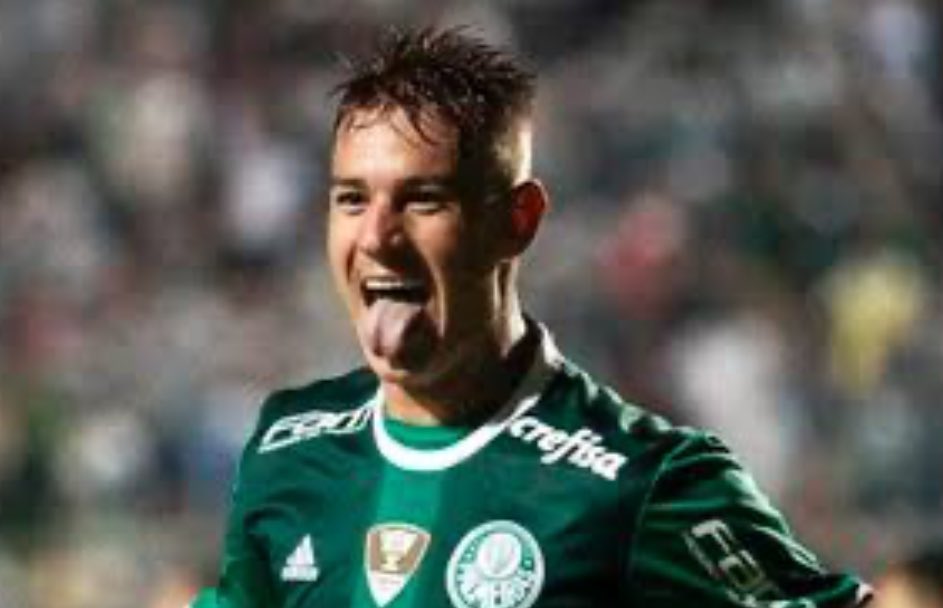 PALMEIRAS HQ tweet media