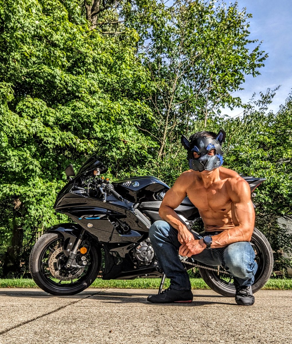 WolfPup Turbo tweet media