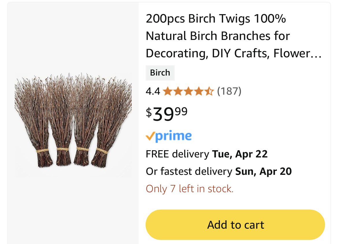 I’m about to start selling tree branches on Amazon 🪾