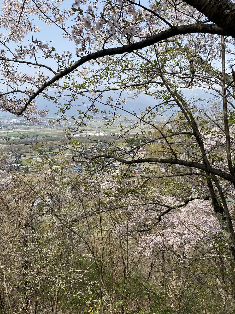 express1161's tweet photo. ＃光城山
光城山駐車場は20分待ち程度です。
お気をつけて https://t.co/y10XfZ0mOm