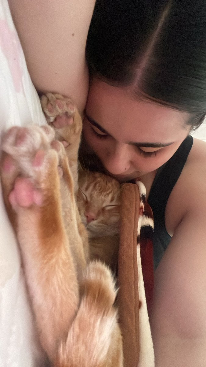 natams07's tweet photo. Me dio mascota https://t.co/SFQVaEgjvE