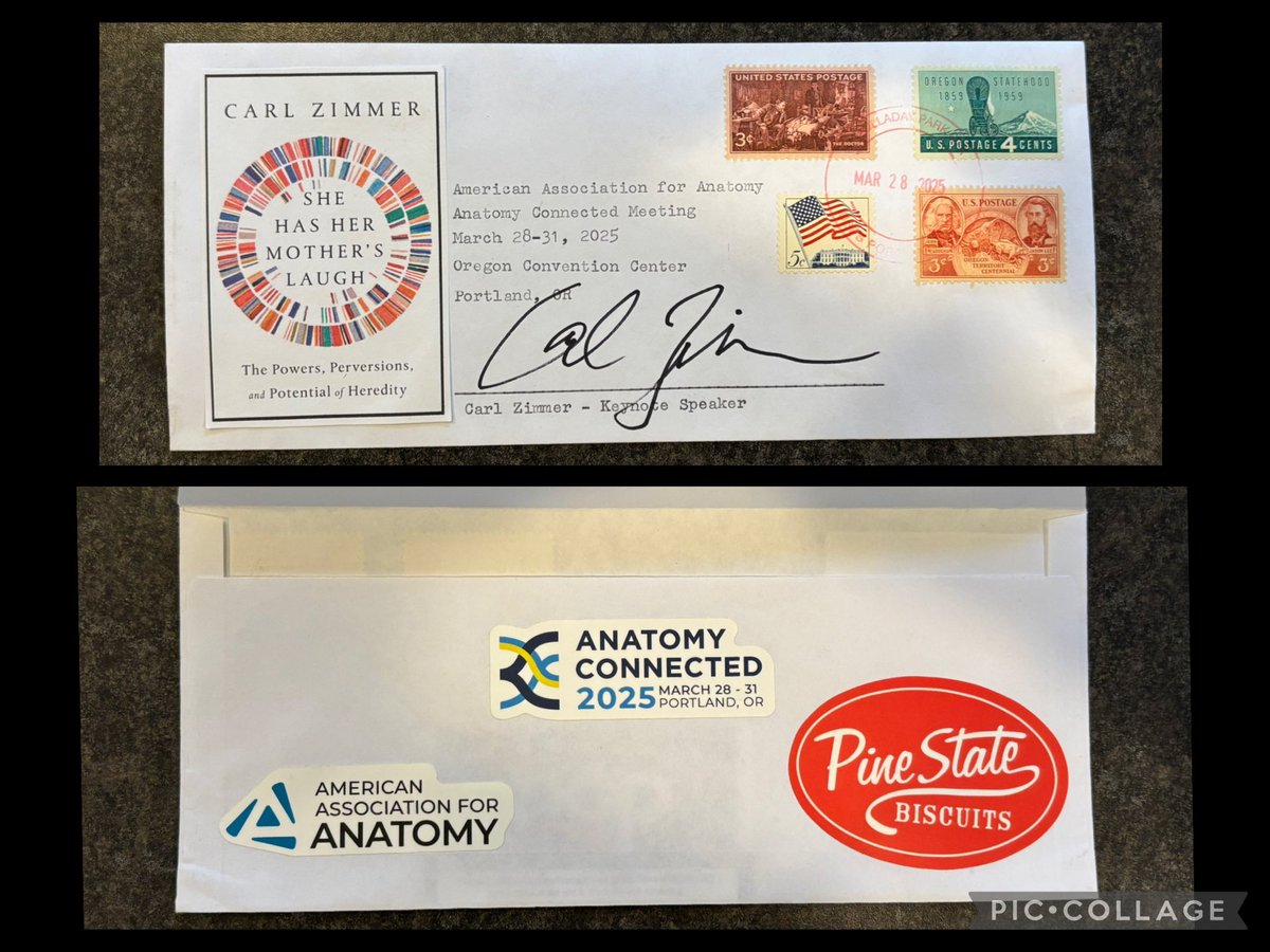 Dissecting Philately tweet media