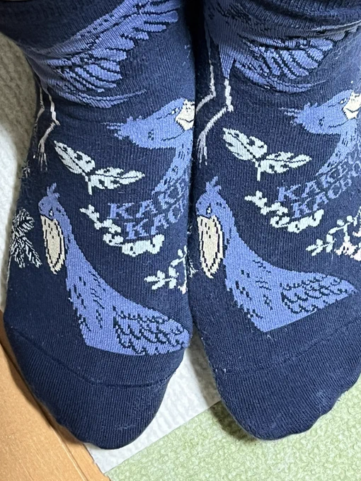 あ!大事なことを言い忘れてた!今日の靴下はこれ!またしても見える機会無いけど!掛川花鳥園のハシビロコウ、そしてトートバッグもだ!! 