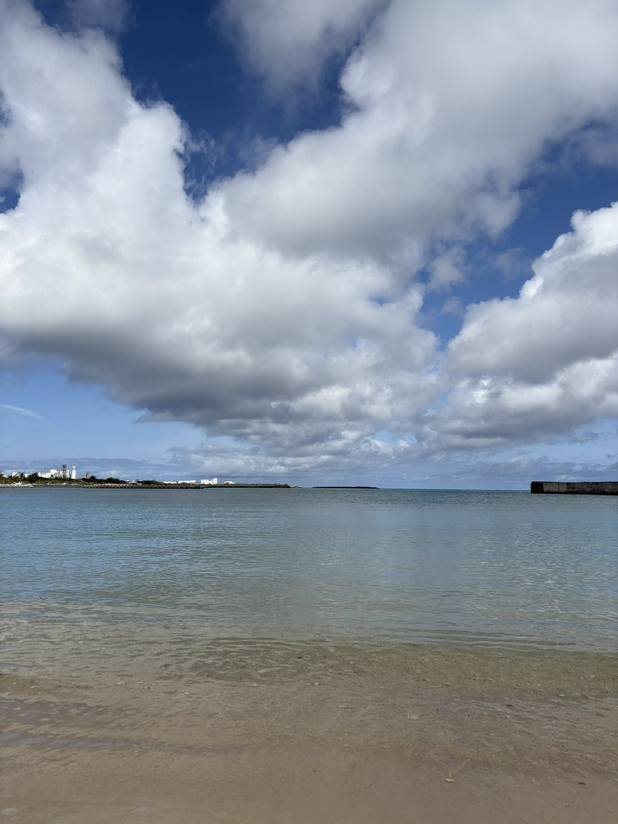 shikuganu's tweet photo. 昨日と打って変わって良い天気〜☀️
気持ちいい😌
#与論島
#IslandLife
#茶花海岸 https://t.co/By5Wcnd8ul