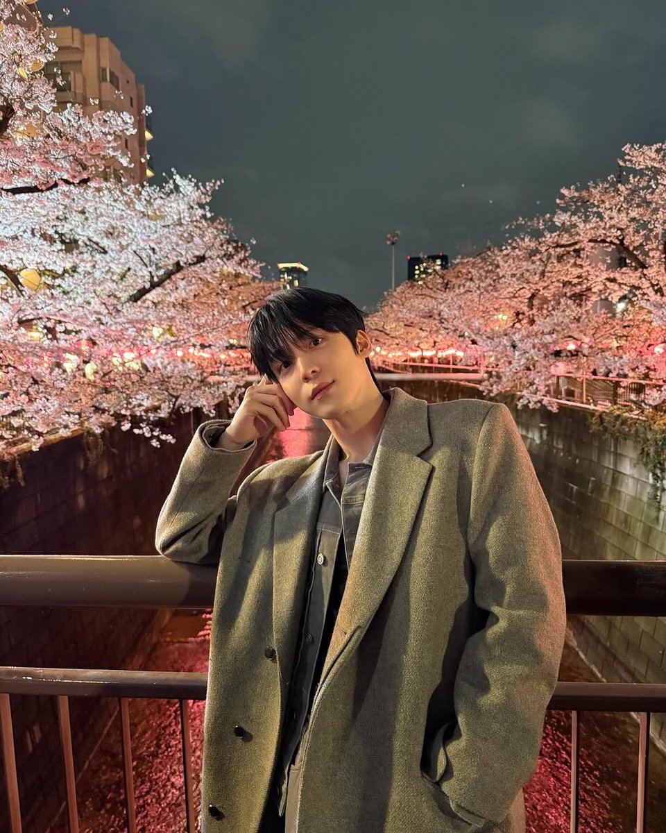 The beautiful feelings that come with cherryblossom