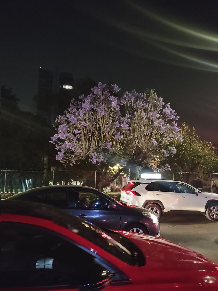 Lirice Zuniga (@liricezuniga) on Twitter photo #JacarandaAzteca <a href="/RicardoBSalinas/">Don Ricardo Salinas Pliego</a> <a href="/MLMSalinas/">María Laura Medina de Salinas</a> <a href="/JorgeNikaidoB/">Jorge Nikaido</a> (19.4116670, -99.1820172) #JacarandaAzteca <a href="/RicardoBSalinas/">Don Ricardo Salinas Pliego</a> <a href="/MLMSalinas/">María Laura Medina de Salinas</a> <a href="/JorgeNikaidoB/">Jorge Nikaido</a> (19.4116670, -99.1820172)