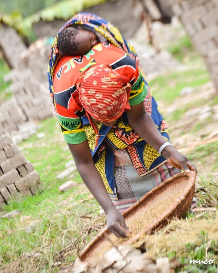 Barankitse tweet media