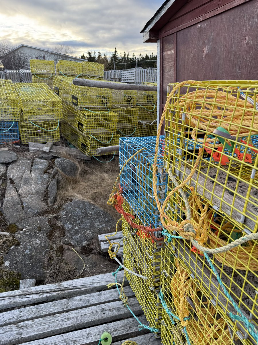 Gorgeous day tying on some lobster pot ropes!