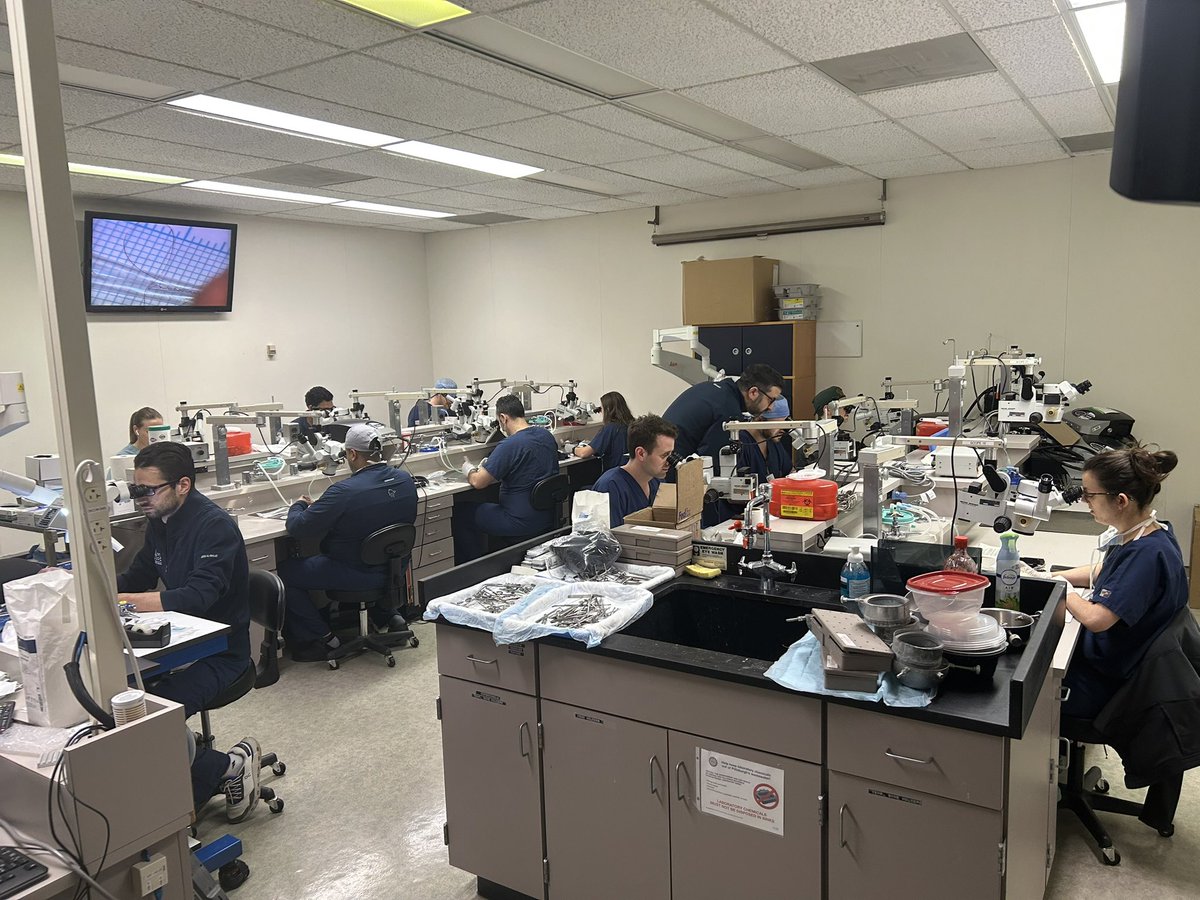 Michael Lang (@drmichaeljlang) on Twitter photo The perfect jump shot is built in the gym, when you're tired and no one is watching.
Love to see <a href="/PittNeurosurg/">Pitt Neurosurgery</a> residents putting in microanastomosis reps in the lab so they're ready to shine in the OR.
Special thanks to <a href="/DrJosephMaroon/">Dr. Joseph Maroon</a> for donating the instrument sets! The perfect jump shot is built in the gym, when you're tired and no one is watching.
Love to see <a href="/PittNeurosurg/">Pitt Neurosurgery</a> residents putting in microanastomosis reps in the lab so they're ready to shine in the OR.
Special thanks to <a href="/DrJosephMaroon/">Dr. Joseph Maroon</a> for donating the instrument sets!