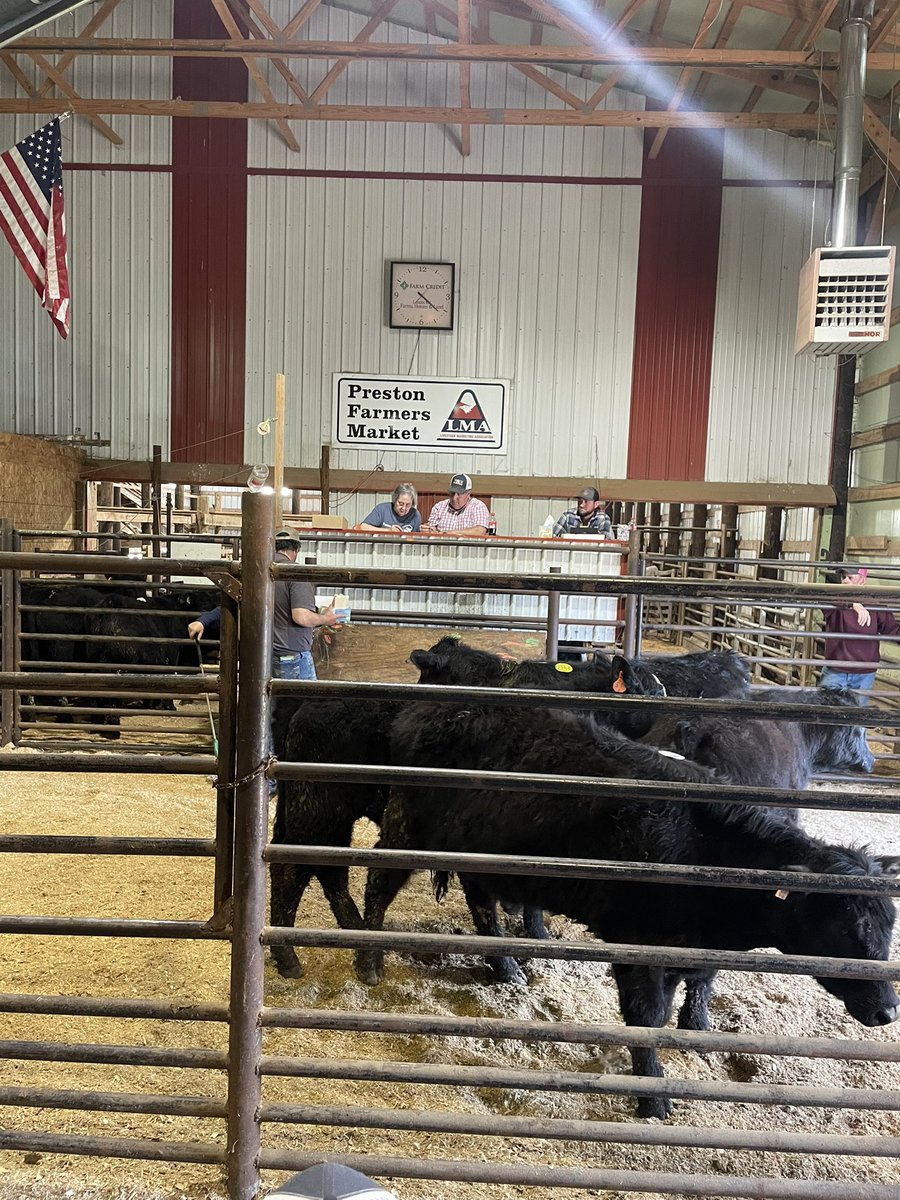 MiloYields's tweet image. Terra Alta, West by-god Virginia