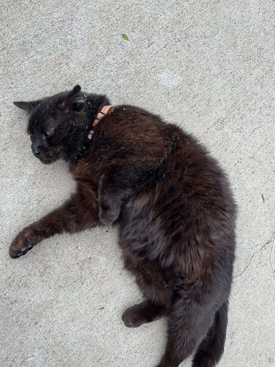 Maddie Jackson tweet media