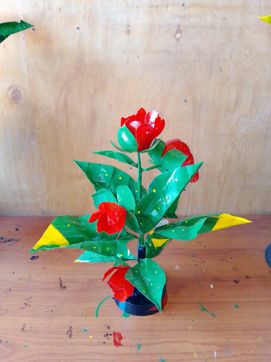 SteveMomo4's tweet photo. Recycling plastics into value
Aesthetic flowers for decoz https://t.co/izHoGVRbjK