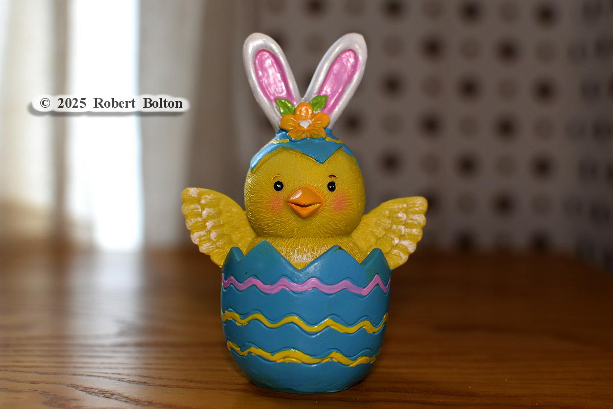 robertbolton443's tweet photo. On this #GoodFriday2025 some #goodfridayvibes with these new #Easter decorations to wish everybody a good #EasterWeekend &amp; #Easter2025. #stilllife #easterstilllife #stilllifephotography #nikon #D7200 #nikoncreators #nikonphotography #nikonnofilter #nikkor35mm #nikonshots https://t.co/vnZPfGjdV8