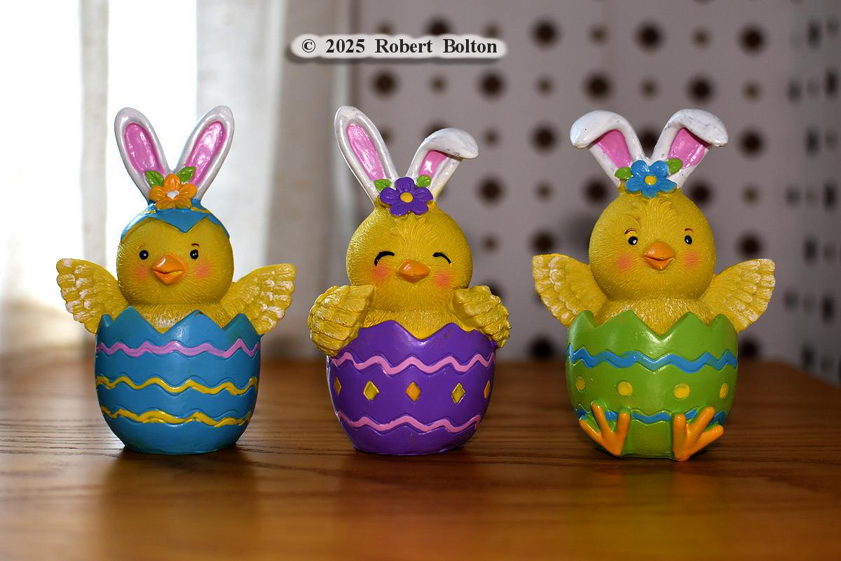 robertbolton443's tweet photo. On this #GoodFriday2025 some #goodfridayvibes with these new #Easter decorations to wish everybody a good #EasterWeekend &amp; #Easter2025. #stilllife #easterstilllife #stilllifephotography #nikon #D7200 #nikoncreators #nikonphotography #nikonnofilter #nikkor35mm #nikonshots https://t.co/vnZPfGjdV8