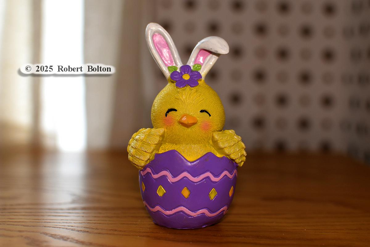 robertbolton443's tweet photo. On this #GoodFriday2025 some #goodfridayvibes with these new #Easter decorations to wish everybody a good #EasterWeekend &amp; #Easter2025. #stilllife #easterstilllife #stilllifephotography #nikon #D7200 #nikoncreators #nikonphotography #nikonnofilter #nikkor35mm #nikonshots https://t.co/vnZPfGjdV8