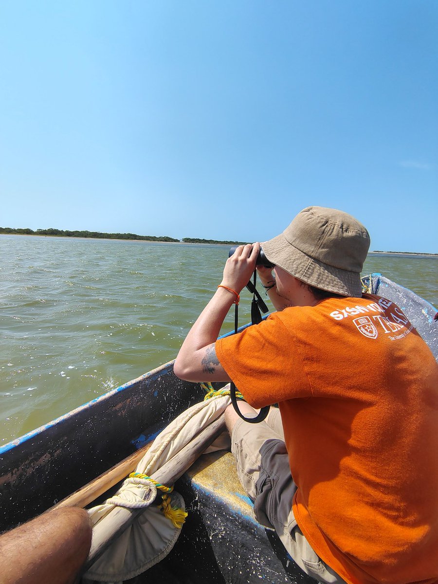 Avistamiento en el horizonte