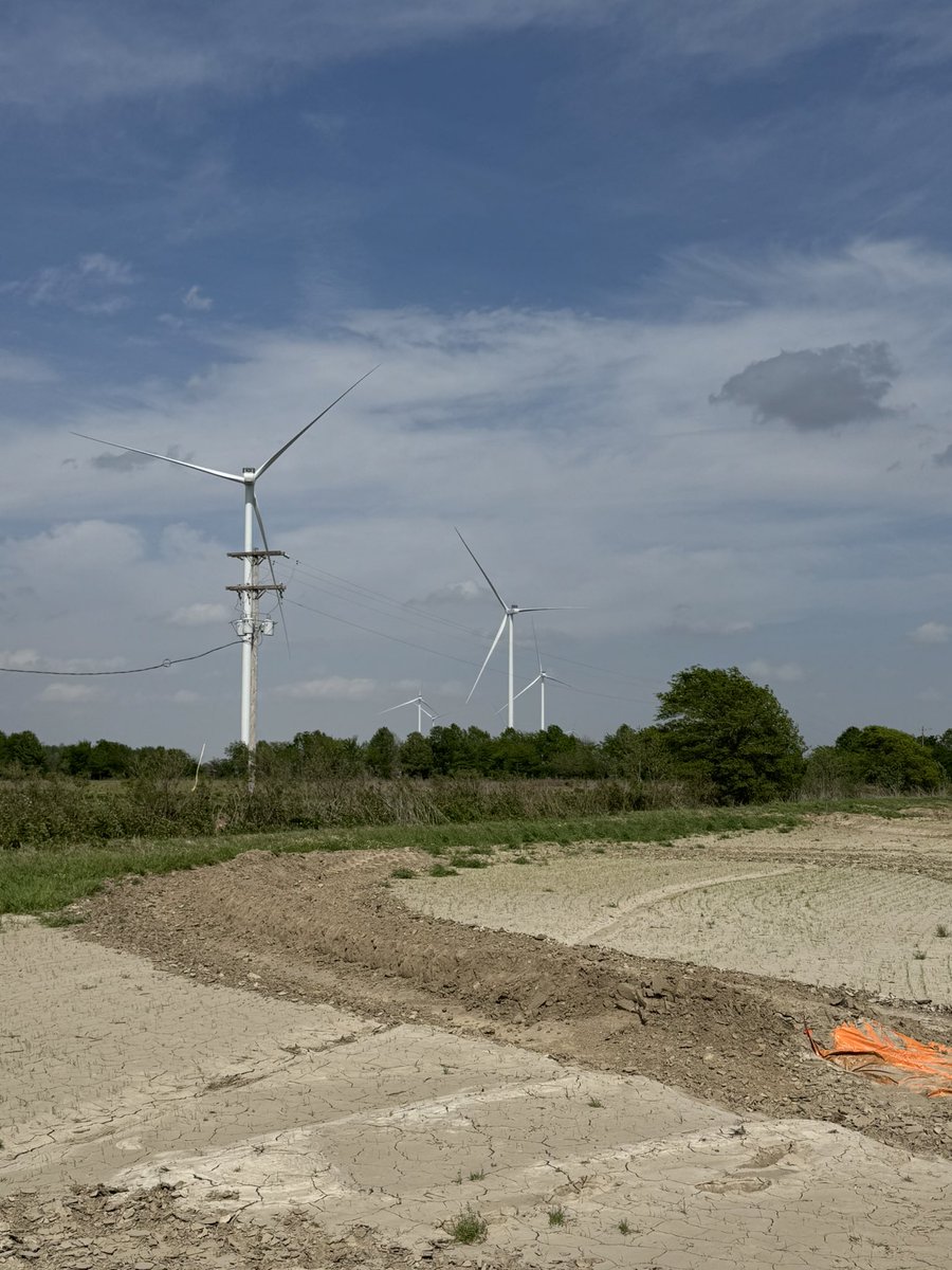 will nicholson tweet media