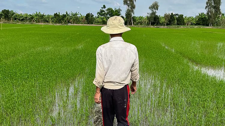 Farmer tweet media