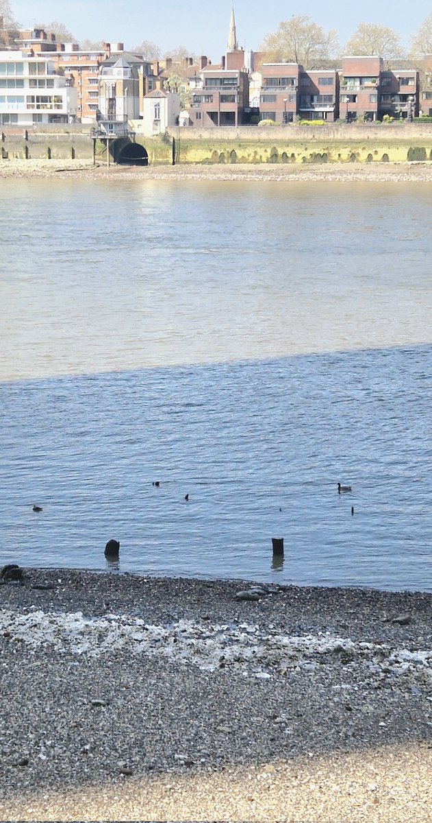 Paul Draper tweet media