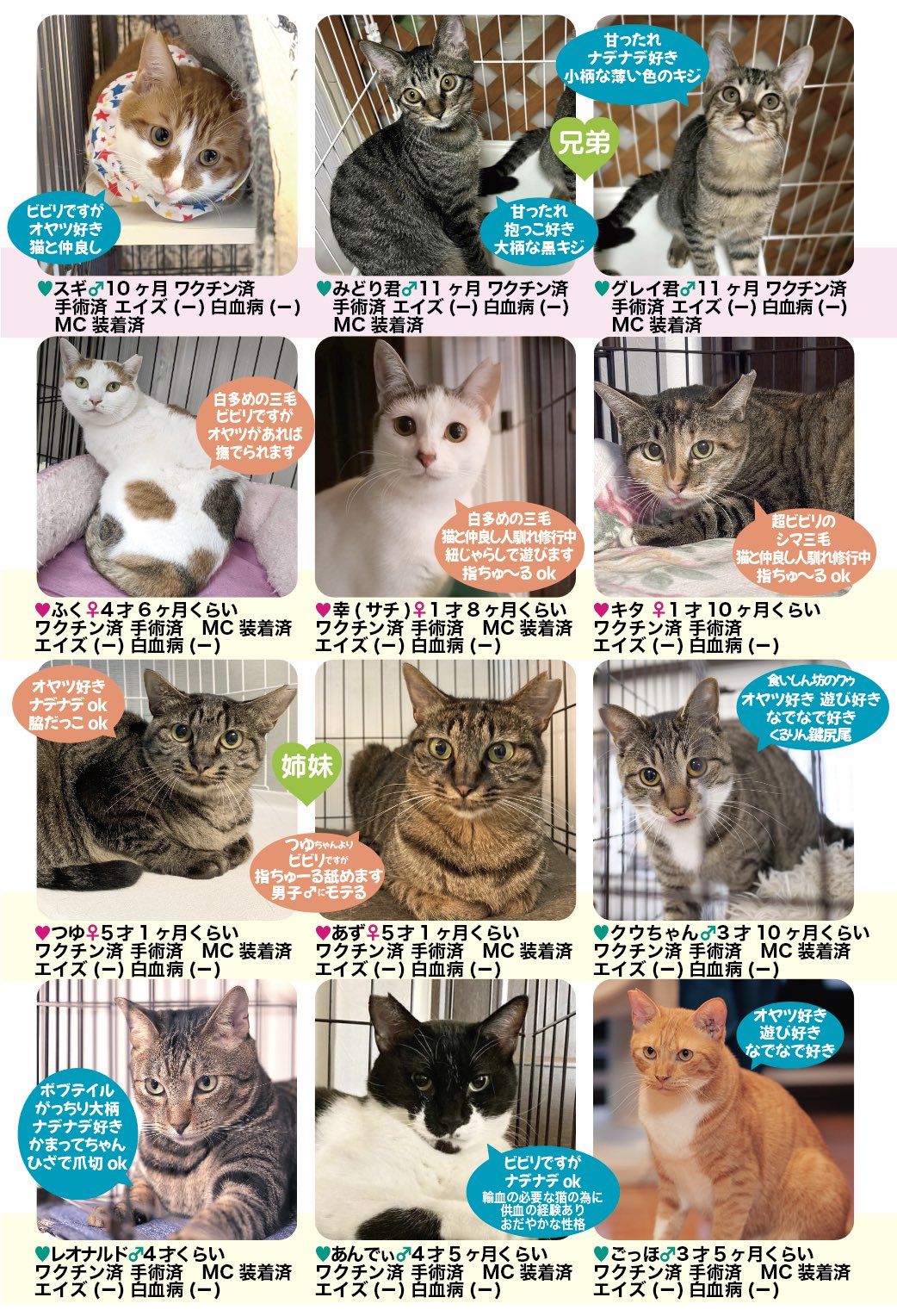 ねこママ (@nakomama4) / X