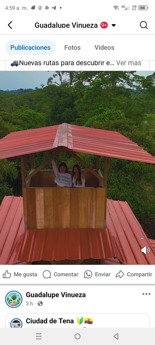 AmazonEcu's tweet photo. Experience the Amazon at Finca La Argentina!

Location: Just 10 minutes from Puyo, in the beautiful Ecuadorian Amazon.

What we offer:

Comfortable private rooms and natural camping areas

Birdwatching tours by day and frog tours by night

Contact us:
+5979816681 https://t.co/uWNvZnutYf