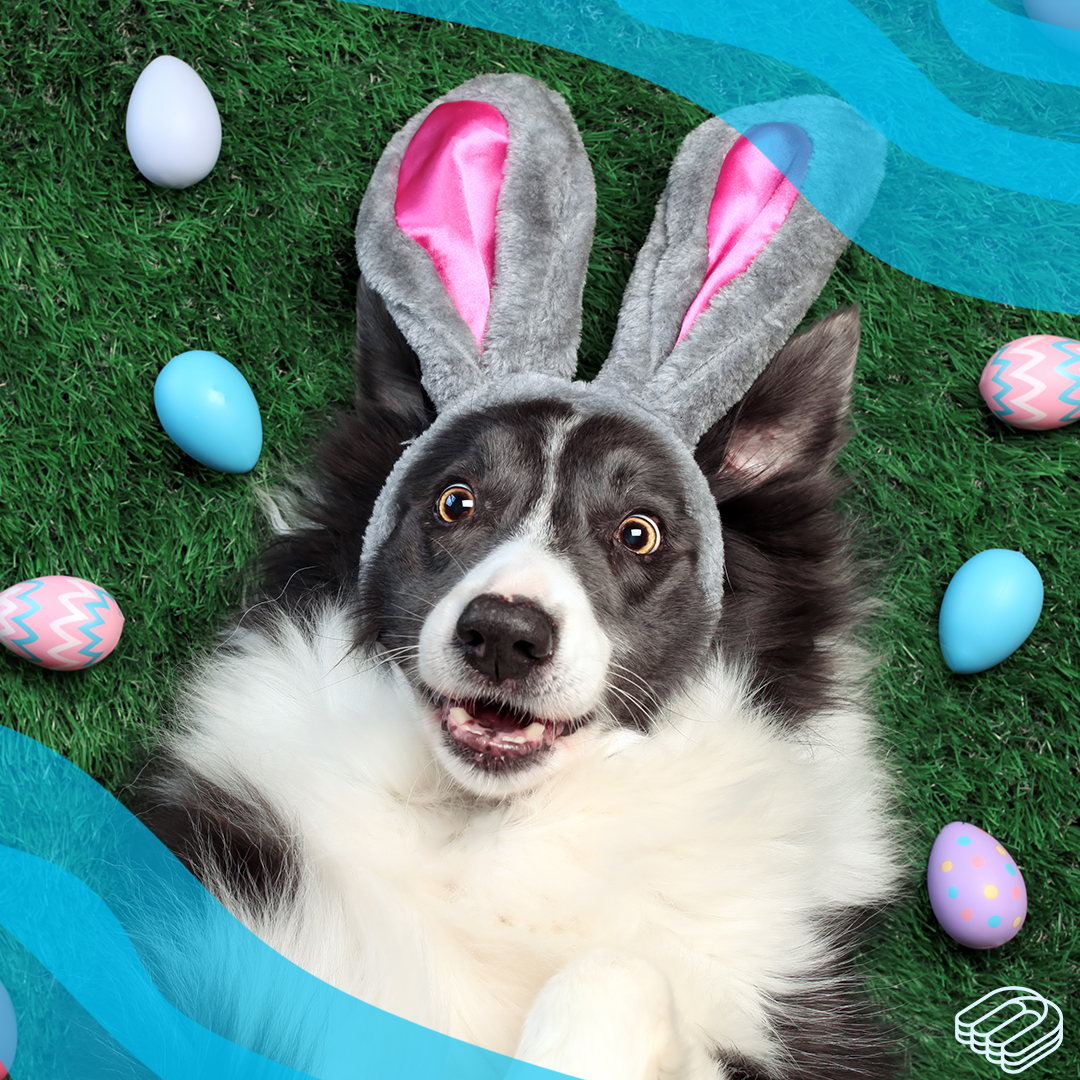 Wishing everyone a Happy Easter and long weekend!

We will be away from the phones today for Good Friday. We will be back early on Monday morning!

#GoodFriday #HappyEaster #LongWeekend