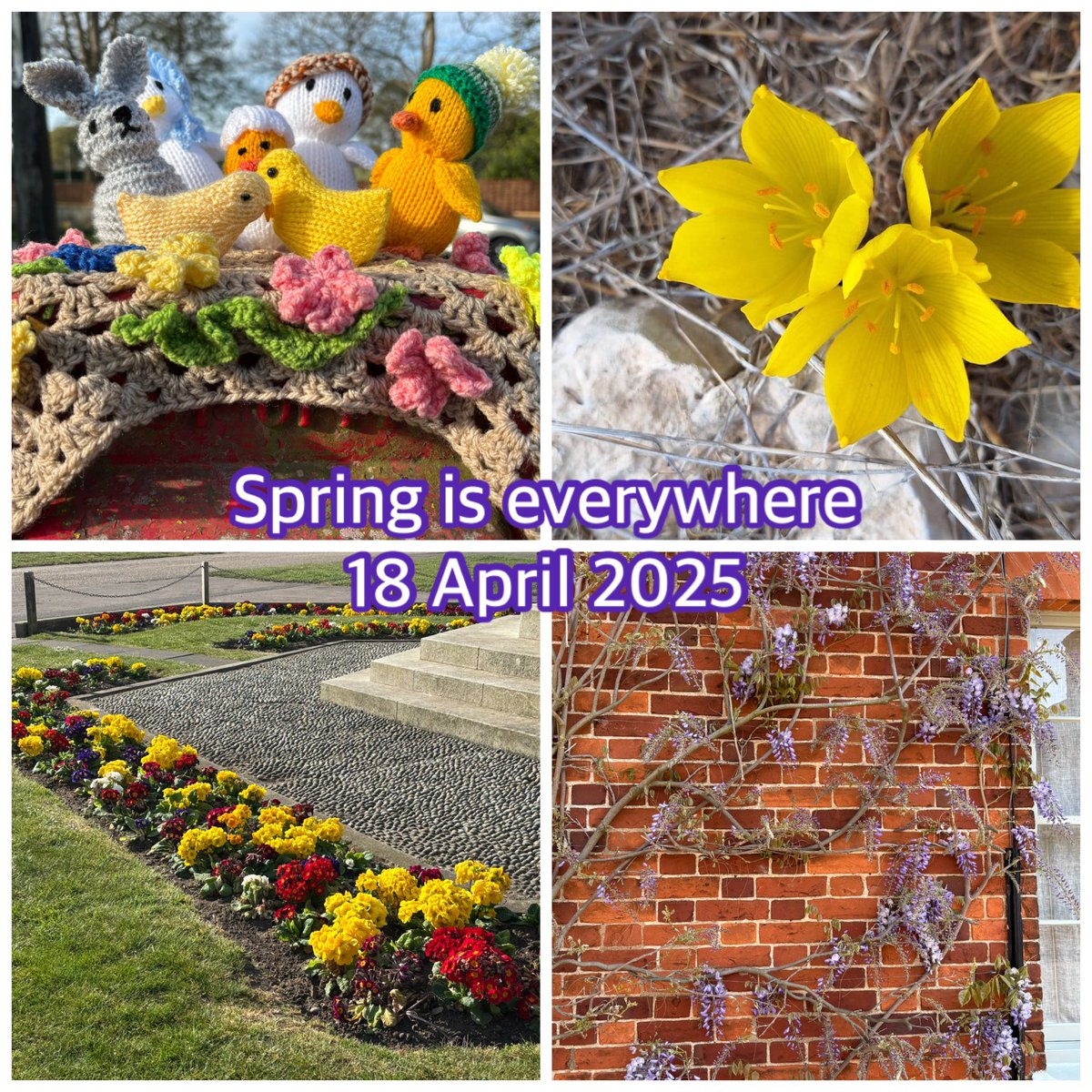Early morning walk. Lunchtime concert in Orford Church. Really enjoyed performance by #TrioFarben <a href="/BrittenPears/">Britten Pears Arts</a> residency. Orford looking charming as ever - nipped into <a href="/Pinneysoforford/">Jodie Pinney</a> for some treats. Walked boardwalk <a href="/SnapeMaltings/">Snape Maltings</a> to see new plank🥰👍. Updated digital diary🥱