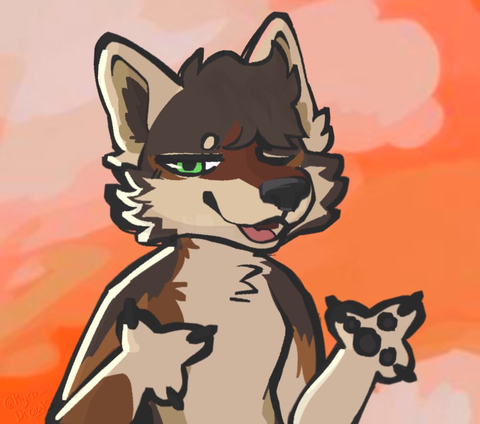 Kyra ⭐ tweet media